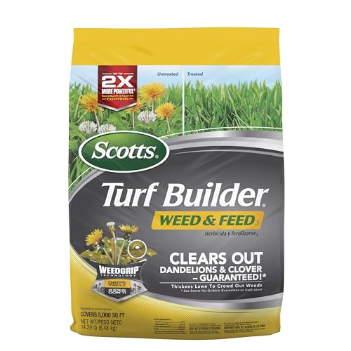Best Fertilizer for Lawns And Grass