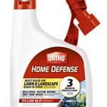 Best Granular Insecticide for Lawns