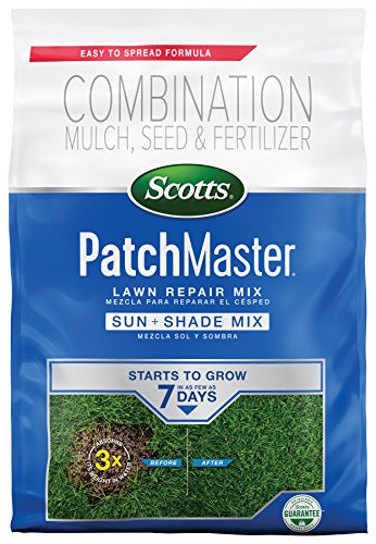 Best Grass for Shaded Lawns