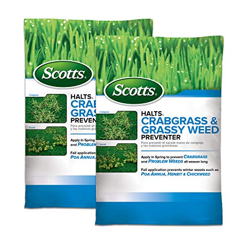 Best Pre Emergent for Lawns