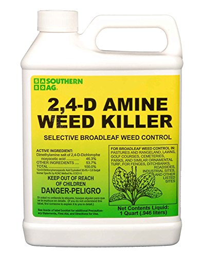 Best Clover Killer for Lawns