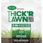 Best Lawn Fertilizer for Fall