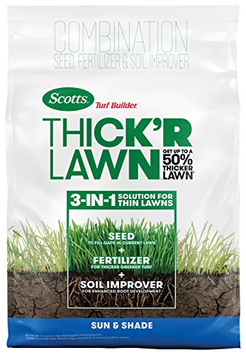 Best Lawn Fertilizer for Fall