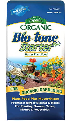 Best Organic Fertilizer for Lawn
