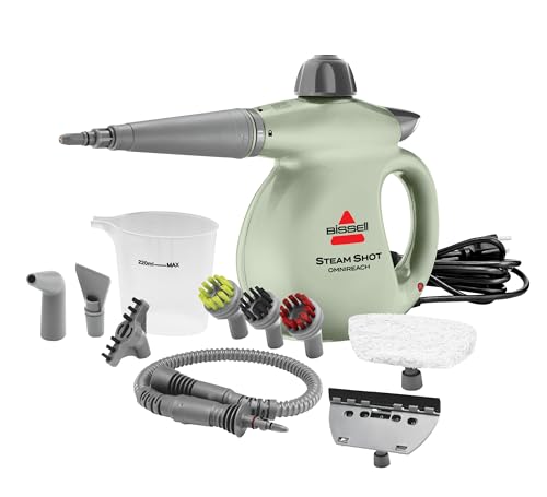 Best Steam Cleaner for Detailing Cars