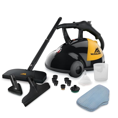 Best Steam Cleaner for Mattress