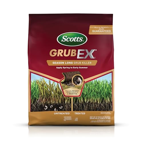 Best Treatment for Grubs in Lawn