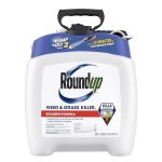 Best Lawn Weed Killer