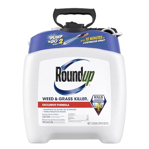 Best Lawn Weed Killer